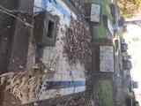 image of grave number 538823